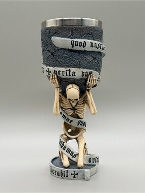 Anne Stokes Nemesis Now The Truth Goblet Skeleton Latin Scroll Gothic Chalice